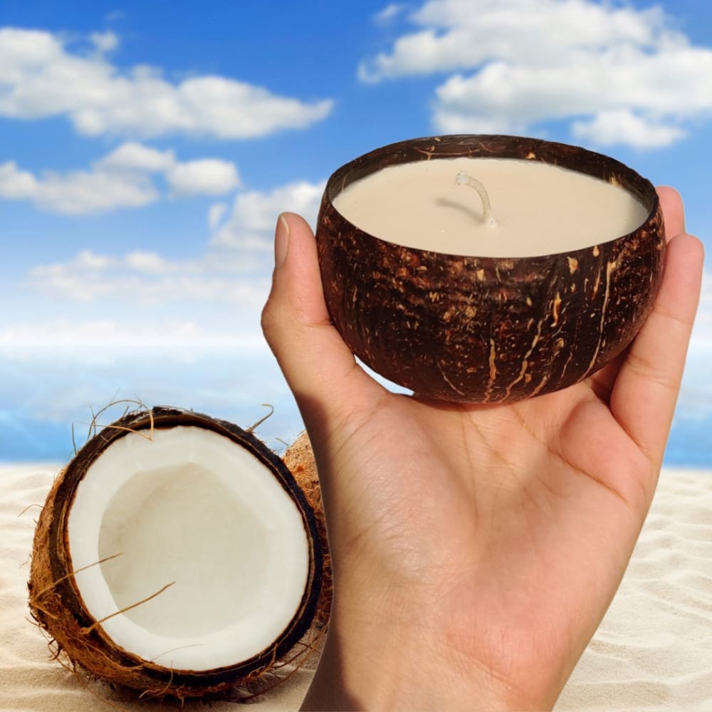ONEarth Soy Wax Candle - Coconut Shell (100gms only) Pack of 1 Vanilla
