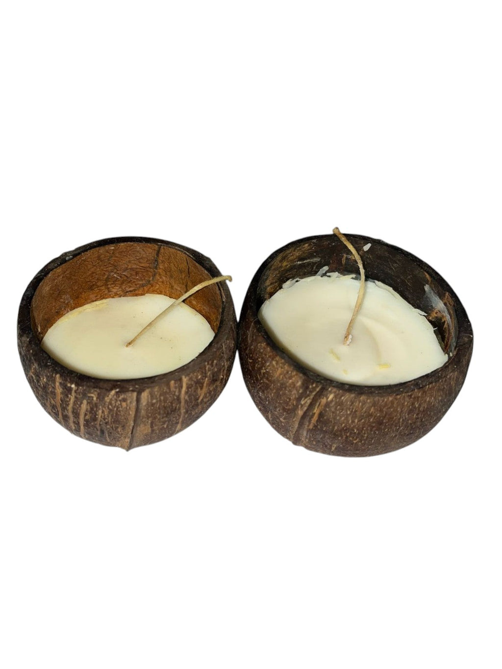 ONEarth Soy Wax Candle - Coconut Shell Pack of 2 (150 gms) Japanese Cherry Blossom