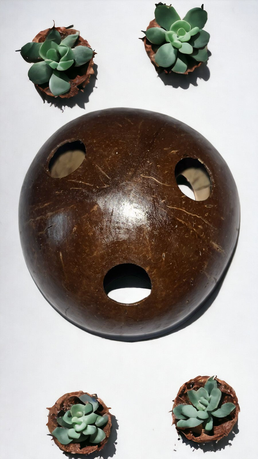 ONEarth Coconut Shell Pen stand