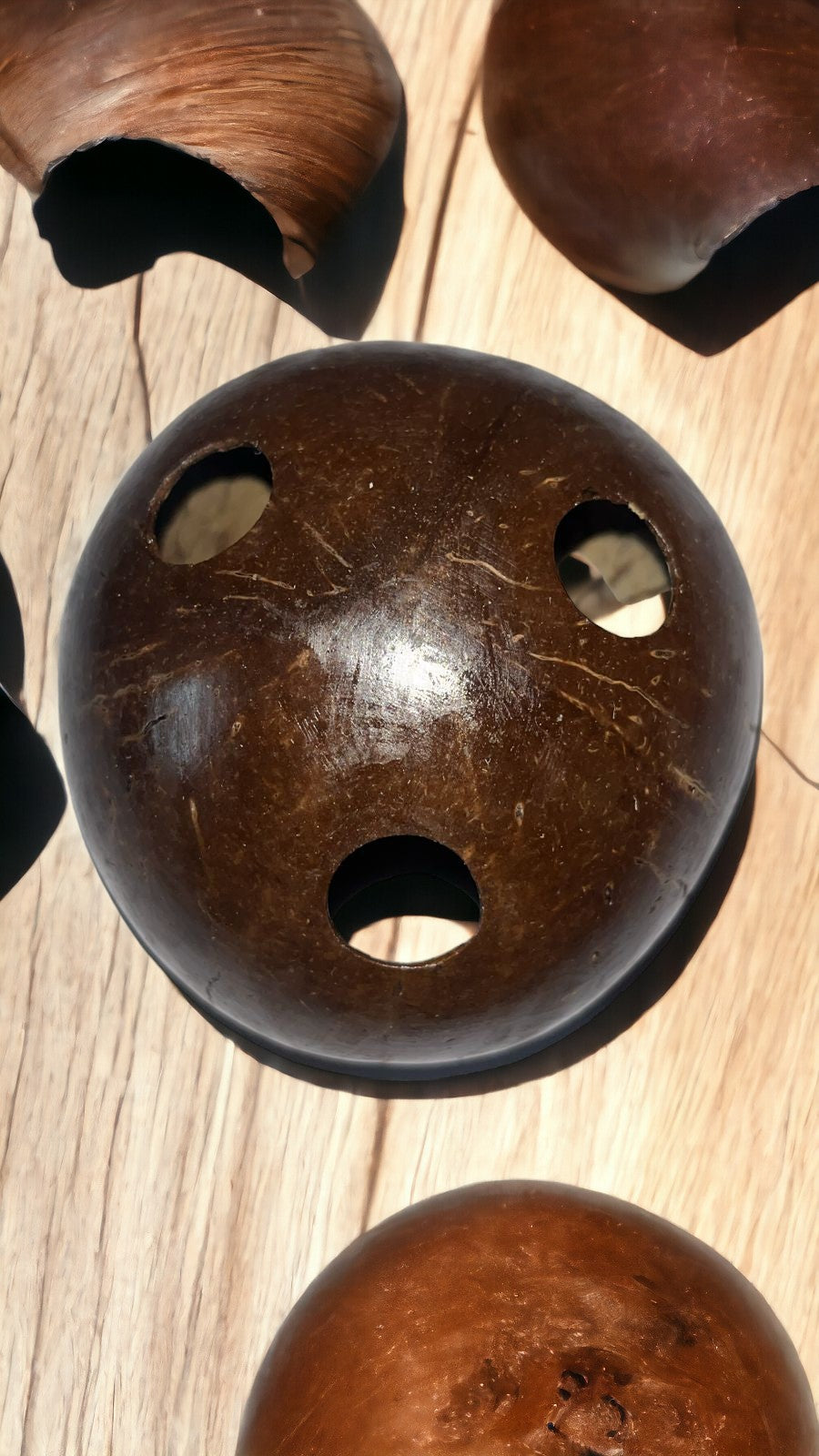 ONEarth Coconut Shell Pen stand