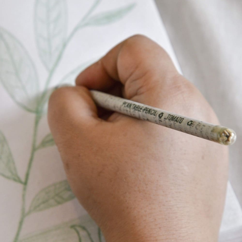 ONEarth Paper Pencil (Plantable Seed) - Pack of 10
