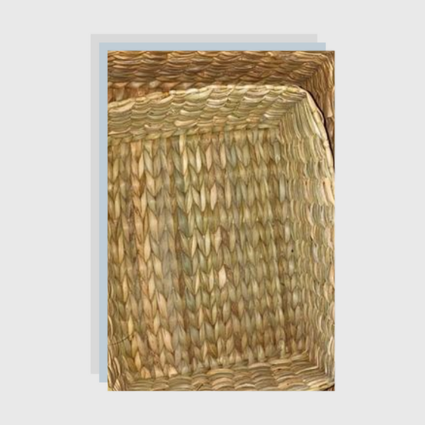 ONEarth Set of 3 baskets - Water Reed (Kauna Grass)