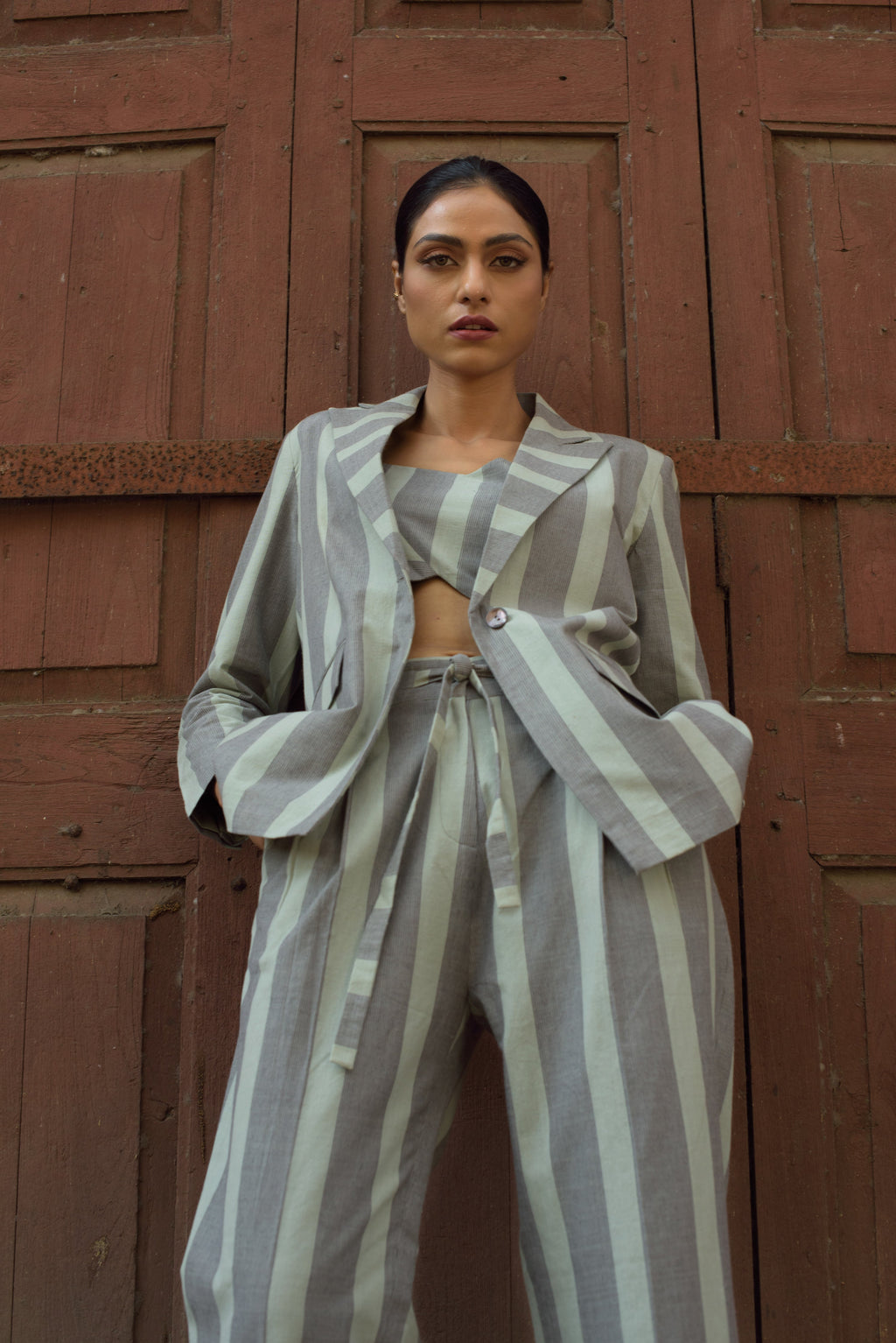 Anushe Pirani Womens Inverted Pleat Pants